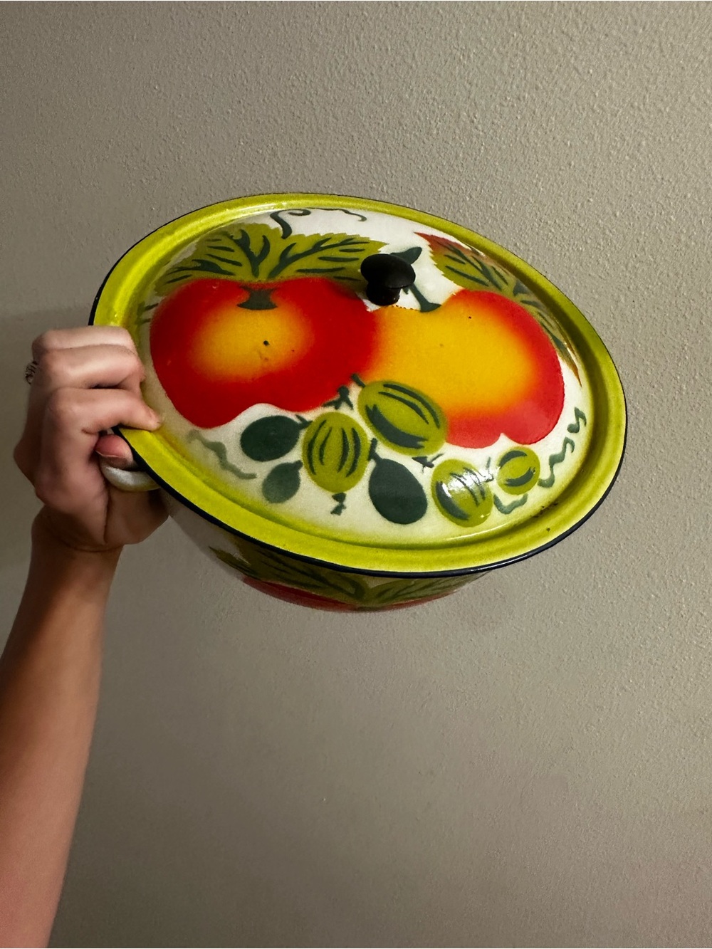 Hand-Painted Fruit Enamel Serving Bowl with Lid - Yellow & Red
